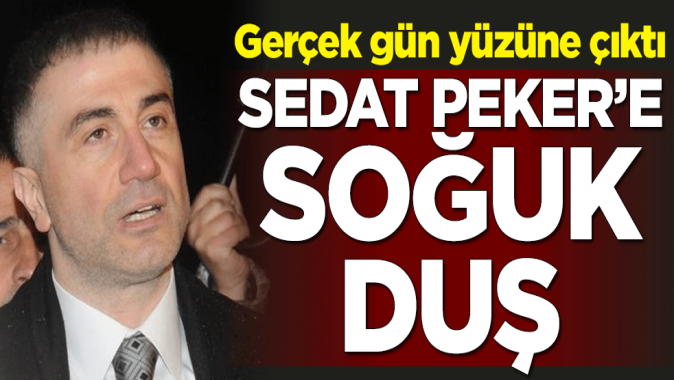 Sedat Pekere soğuk duş! Gerçek gün yüzüne çıktı