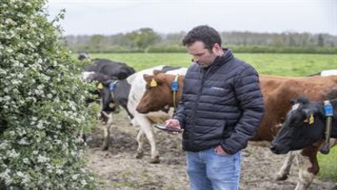 SenseHub Dairy ile Hayvancılıkta Verimlilik Artıyor, Gıda Güvenliği ve Arzı Destekleniyor