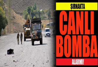 Şırnakta canlı bomba paniği!