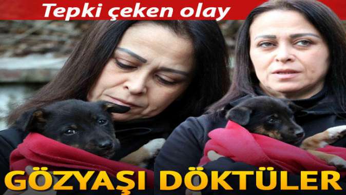 Şoke eden iddia! Gözyaşı döktüler