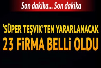 'Süper Teşvik'ten yararlanacak firmalar belli oldu