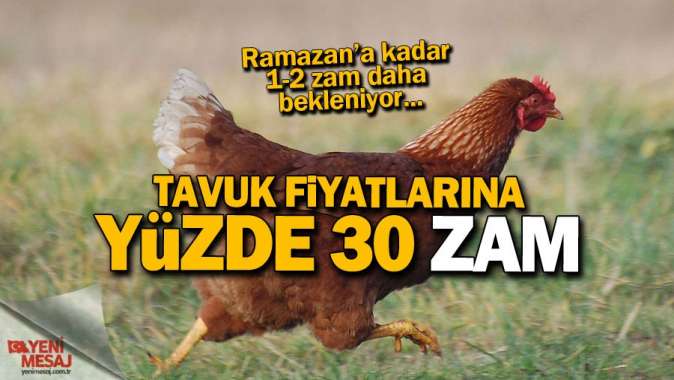 Tavuk fiyatlarına yüzde 30 zam