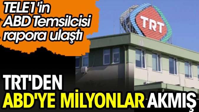 TELE1in ABD Temsilcisi rapora ulaştı