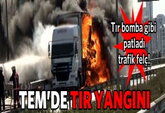 TEM'de TIR yangını