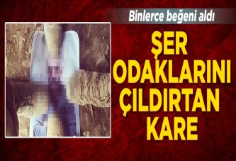 Teröristbaşı Abdullah Öcalan'ın fotoğrafı ayaklar altında