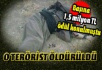 1,5 milyon TL ödülle aranan PKK’lı öldürüldü