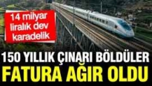 150 yıllık çınarı böldüler, fatura ağır oldu: 14 milyar liralık dev karadelik