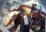 270 Kiloluk Balık Tekneye Böyle Atladı