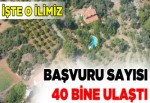 2B başvurusu rekora koşuyor