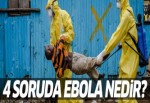 4 soruda Ebola nedir?