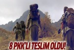 8 PKK'lı teslim oldu!