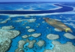 ABD resiflere bıraktığı bombaları çıkaracak