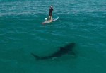 ABD'li sörfçü köpekbalığı kurbanı oldu