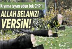 Ağaç katliamına isyan eden tek CHP’li