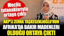 AKP'li Zehra Taşkesenlioğlu'nun Afrika’da bakır madenleri olduğu ortaya çıktı.