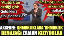 Akşener: Ahmaklıklara 'ahmaklık' denildiği zaman kızıyorlar