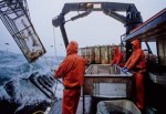 Alaska’da Balıkçıların yıllık ortalama kazancı...