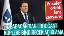 Ali Babacan'dan Erdoğan'ı küplere bindirecek açıklama