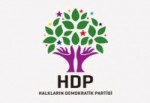 Alınak, HDP'den Adaylığını Açıkladı