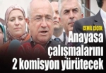 Anayasa çalışmalarını 2 komisyon yürütecek