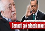 Andy-Ar'den seçim anketi