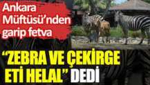 Ankara Müftüsü’nden garip fetva: “Zebra ve çekirge eti helal” dedi
