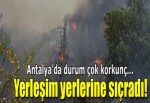 Antalya’da yangın