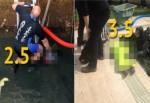 Antalya'da kahreden ihmal