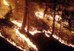 Antalya'da orman yangını kontrol altına alınamıyor