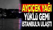 Ayçiçek yağı yüklü gemi İstanbul'a ulaştı