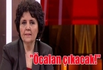 Ayşenur Arslan: "Öcalan çıkacak!"