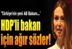 Azeri vekilden HDP'li bakan'a çok sert tepki