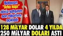 Babacan'dan “Arka kapı” döviz satışı açıklaması: 128 milyar dolar 4 yılda 250 milyar doları aştı.