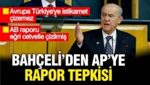 Bahçeli'den Avrupa Parlamentosu'nun Akın Gürlek raporuna sert tepki