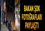 Bakan Hollanda'daki o fotoğrafları paylaştı