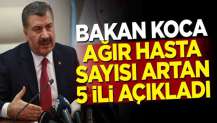 Bakan Koca ağır hasta sayısı artan illeri açıkladı