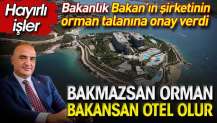 Bakmazsan orman bakansan otel olur