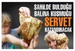 Balina kusmuğu buldu, servet kazanacak