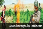 Başbakan Erdoğan: Lice'nin nedeni uyuşturucu
