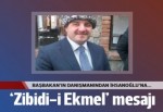 Başbakan'ın danışmanından İhsanoğlu'na 'zibidi'li mesaj