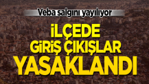 Bergama'da veba salgını! Giriş ve çıkışlar yasaklandı