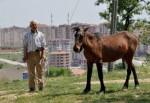 Beş bin lira maaşlı çoban işi bıraktı