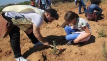 Bir yılda 116 bin fidan dikildi