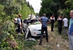 Bolu'da ağaç otomobilin üzerine devrildi: 1 ölü, 2 yaralı