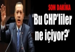 'Bu CHP'liler ne içiyor?'