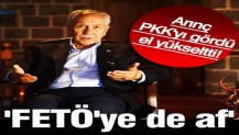Bülent Arınç PKK'yı gördü el yükseltti! 'FETÖ'ye de af'