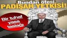 Bundan sonrası padişah yetkisi! Bir tuhaf yasa teklifi