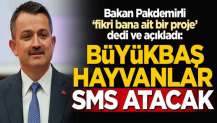 Büyükbaş hayvanlar veterinere SMS atacak