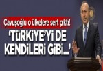 Çavuşoğlu'ndan flaş açıklama: Türkiye'yi de kendileri gibi...