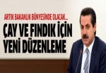 Çay ve Fındık Daire Başkanlığı kuruluyor